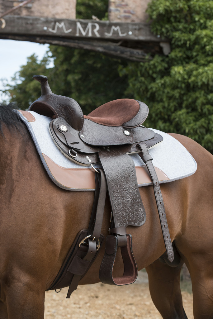 WESTRIDE 16 Mm Felt Westernpad Grå - 3