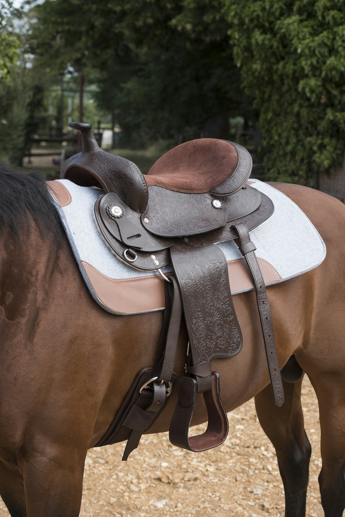 WESTRIDE 16 Mm Felt Westernpad Grå - 2