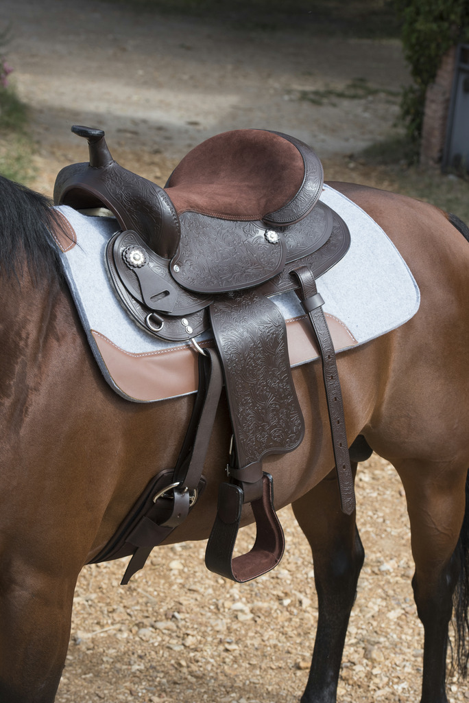 WESTRIDE 16 Mm Felt Westernpad Grå - 5