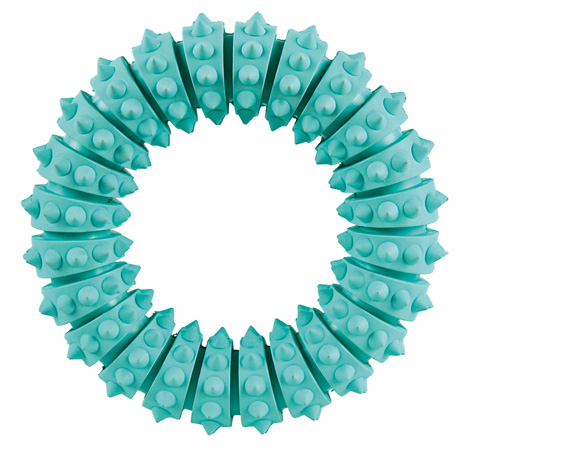 DentaFun- Gummiring/tuggleksak med mintsmak- 12cm