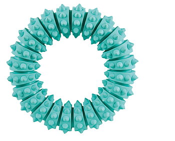 DentaFun- Rubber/chew ring with mint flavor - 12cm
