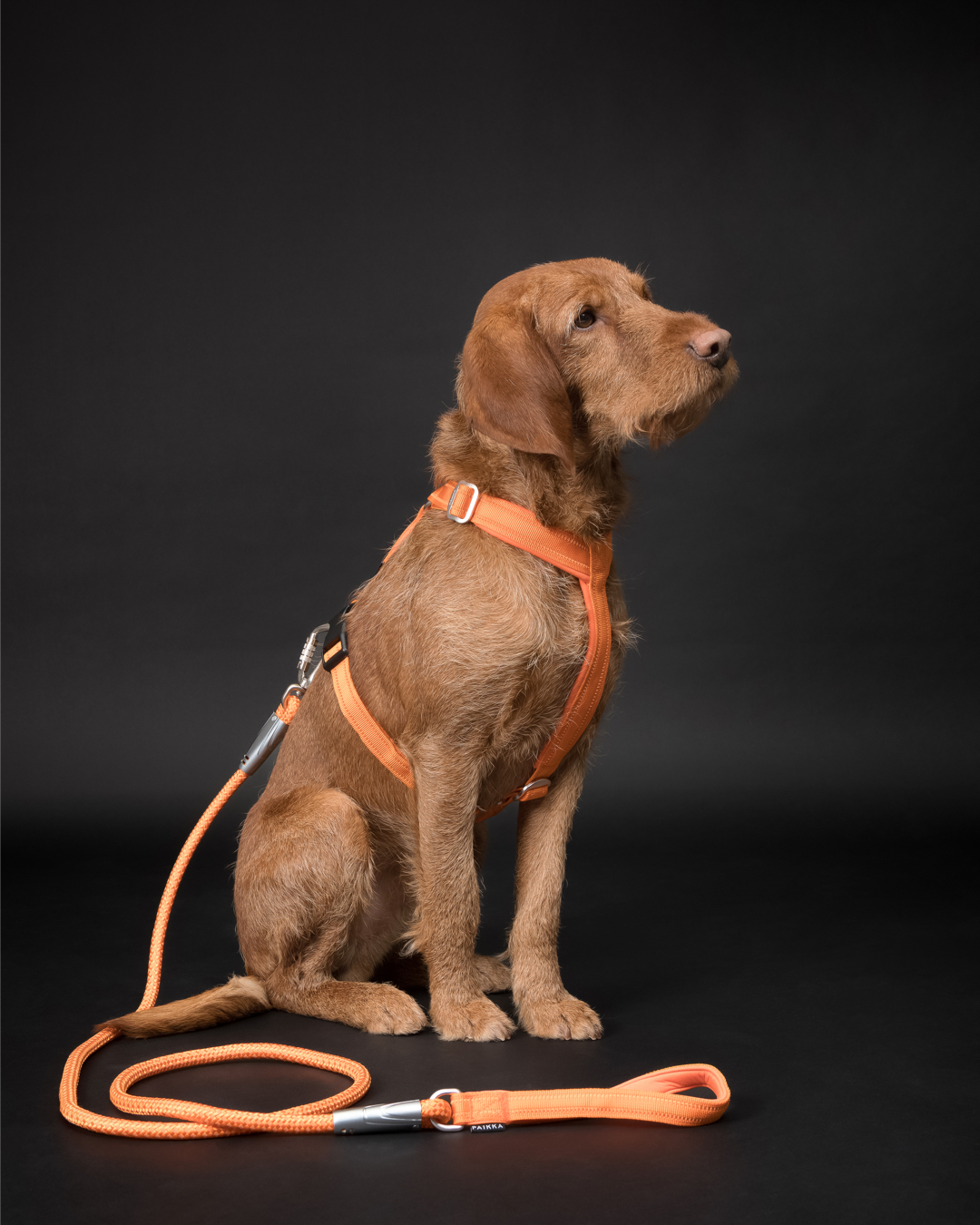 PAIKKA Visibility Rope Leash - Orange  - 5