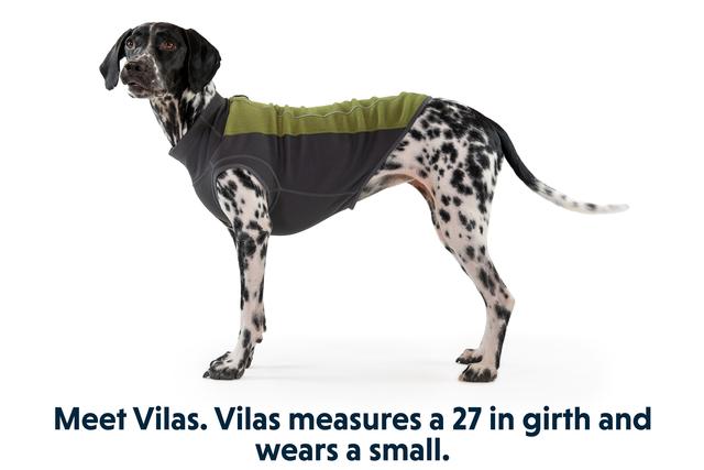 Ruffwear Climate Changer Pullover- CEDAR GREEN - 6