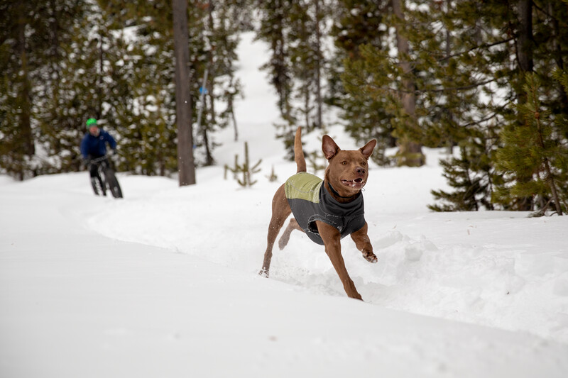 Ruffwear Climate Changer Pullover- CEDAR GREEN - 4