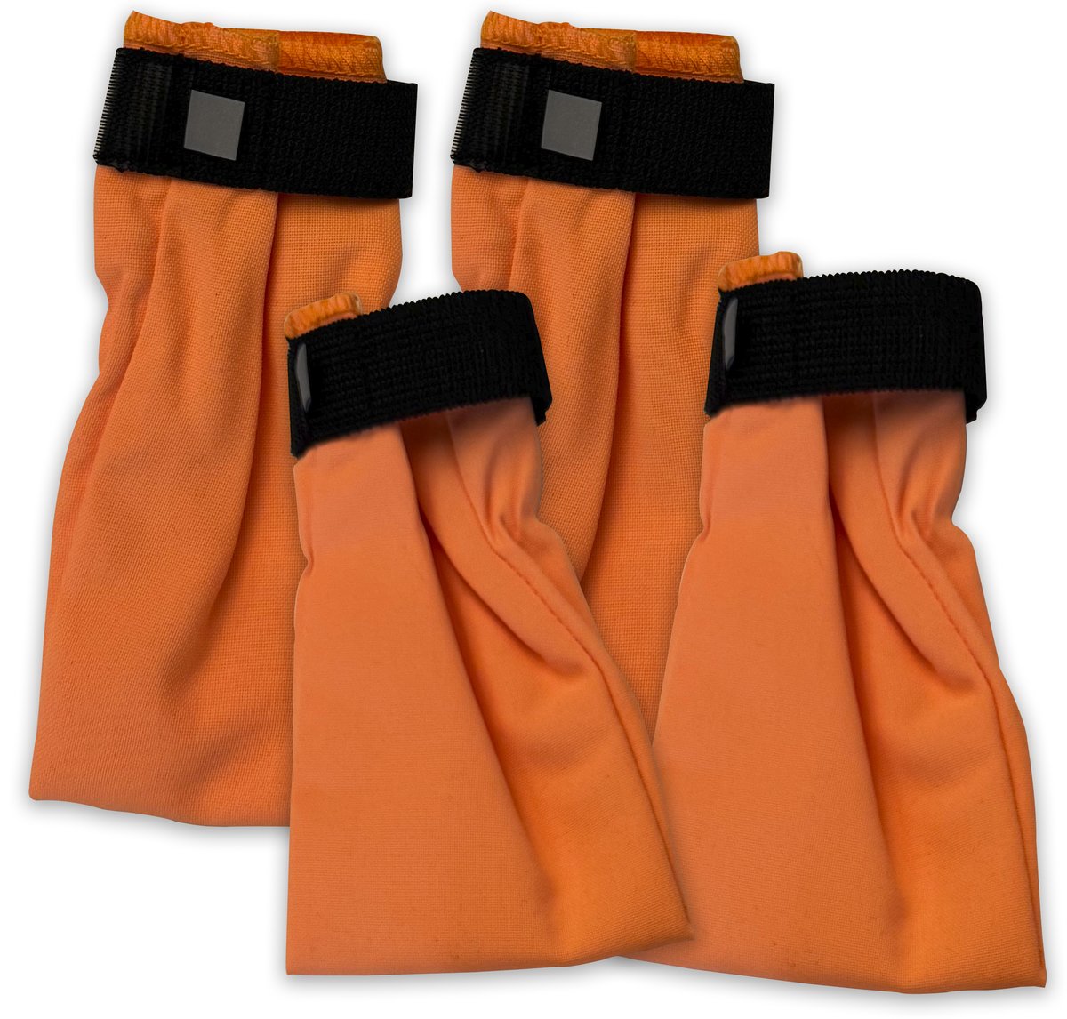 Companion dog socks - Orange