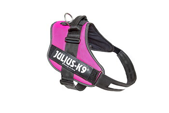 Julius-K9 IDC®  ‑valjaat koiralle –  Dark Pink, 1