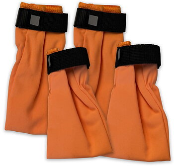 Companion dog socks - Orange