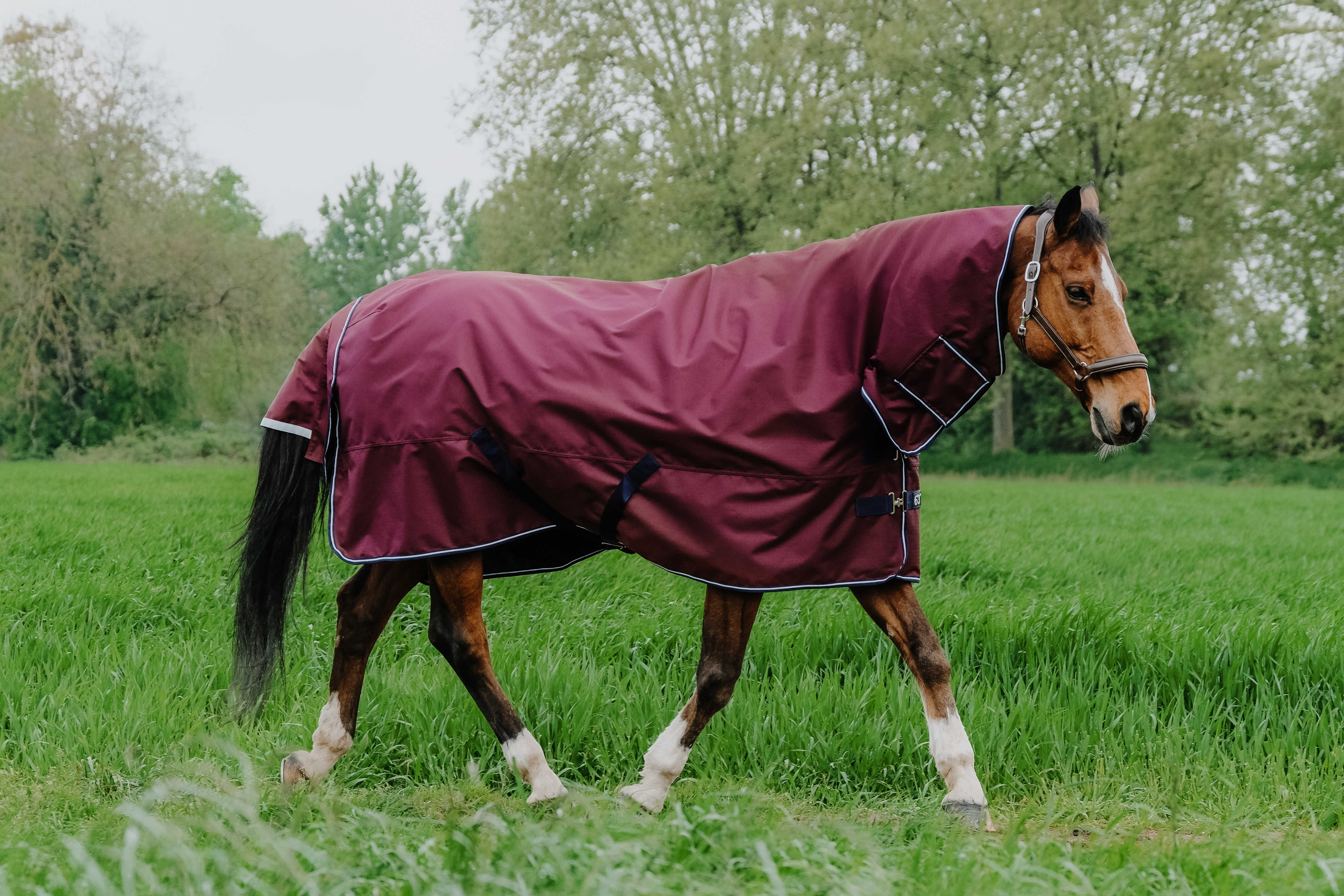 Equitheme Tyrex 1200 D Combo Ulkoloimi Kiinteällä Kaulakappaleella, 200 g Burgundy, 6'6 - 150 cm - 5