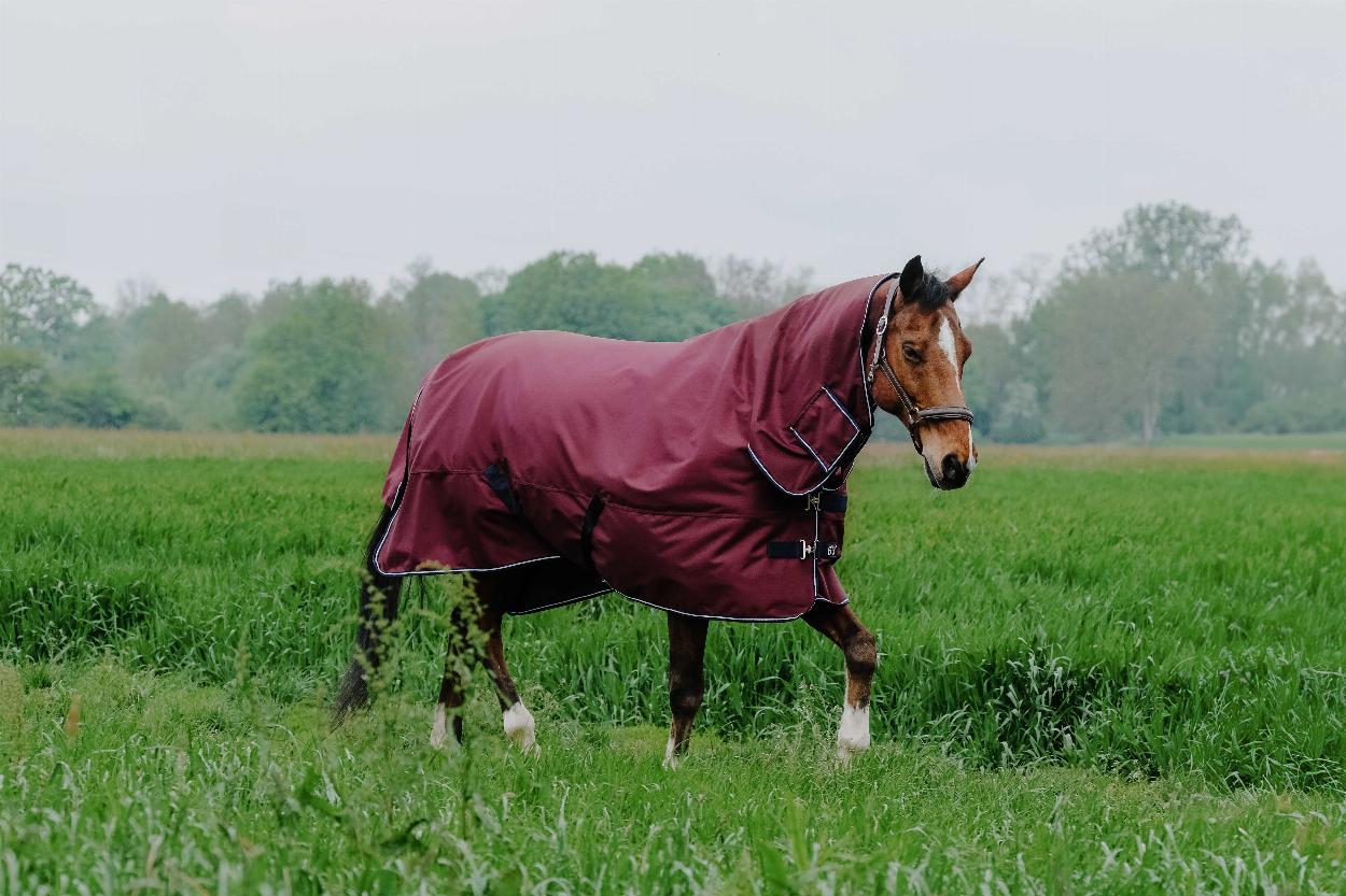Equitheme Tyrex 1200 D Combo Ulkoloimi Kiinteällä Kaulakappaleella, 200 g Burgundy, 6'6 - 150 cm