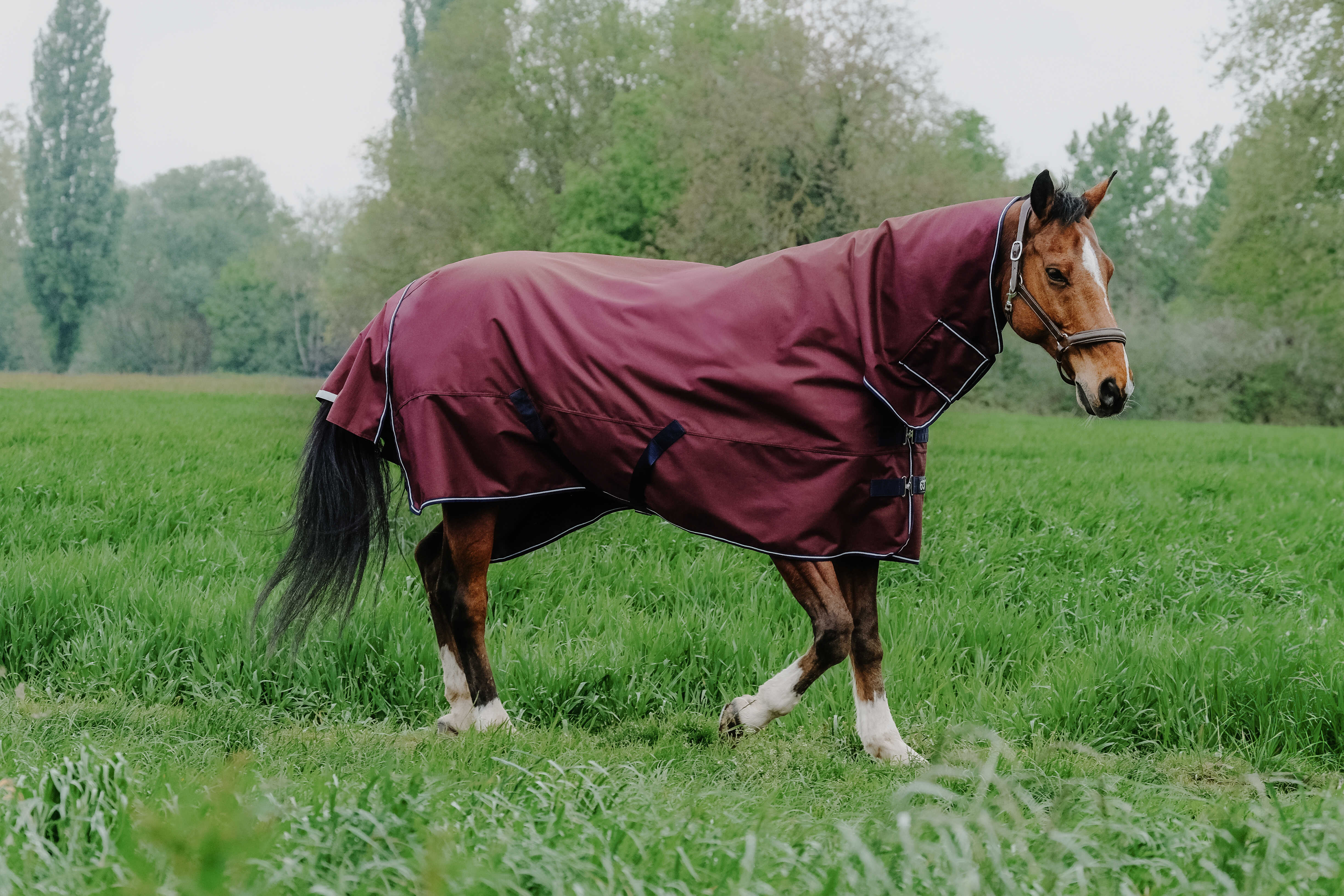 Equitheme Tyrex 1200 D Combo Ulkoloimi Kiinteällä Kaulakappaleella, 200 g Burgundy, 6'6 - 150 cm - 2