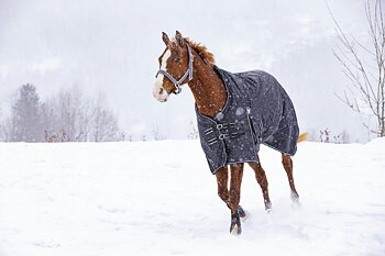 RIDING WORLD 'Oxford' Vedenpitävä Loimi Polar Fleece-Vuorella Musta, 6'3 - 140 cm