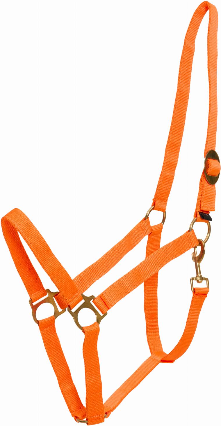 HorseGuard Nylongrimma - Orange (PONY)