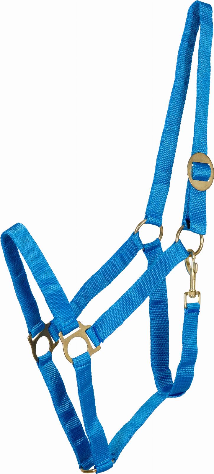 HorseGuard Nylongrimma - Petrol (PONY)