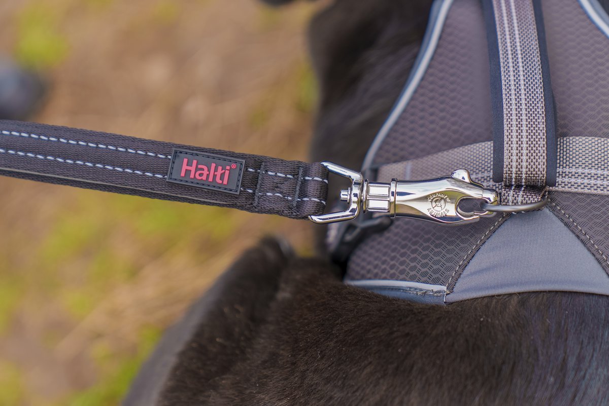 Halti BRIG Safety Hundeleine - Black - 3