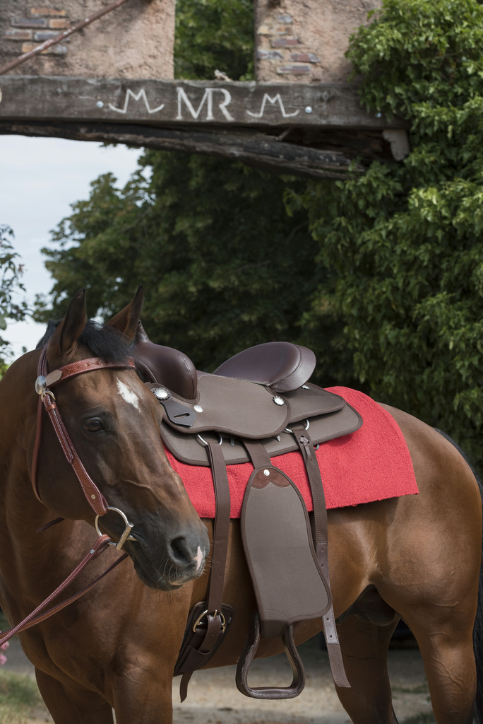 WESTRIDE Navajo Cotton/acrylic Saddle Pad, Solid Colour Red - 3