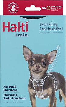 Halti No Pull hundesele - Orange