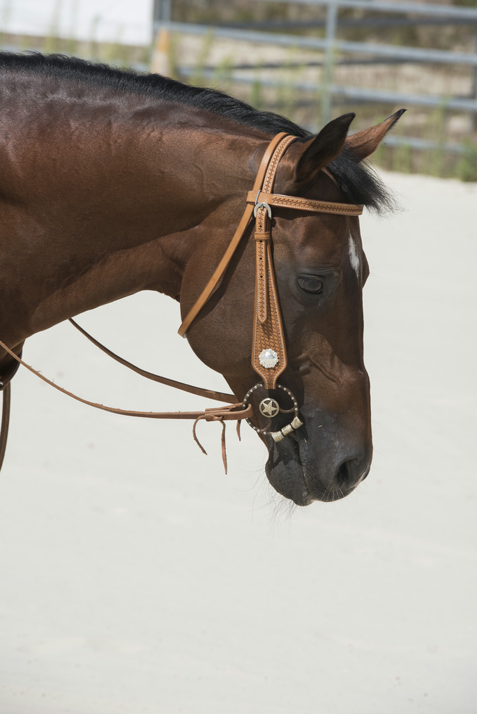 WESTRIDE Aurora Bridle By Franck Perret Chestnut - Full size - 2