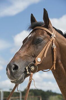 WESTRIDE Aurora Bridle By Franck Perret Chestnut - Full size