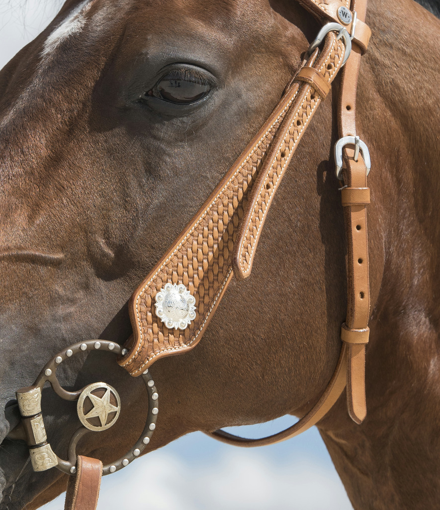 WESTRIDE Aurora Bridle By Franck Perret Chestnut - Full size - 4