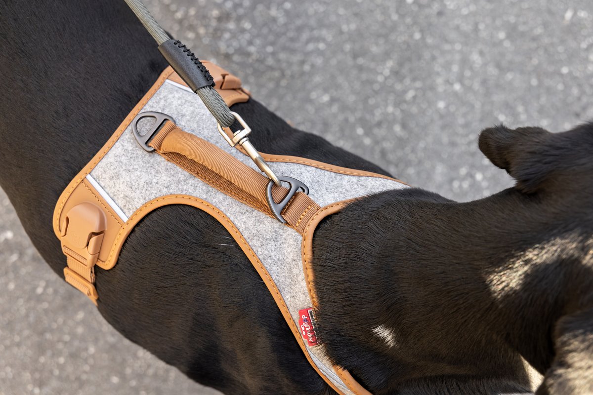 Curli Alpine Belka hundsele - Grey - 2