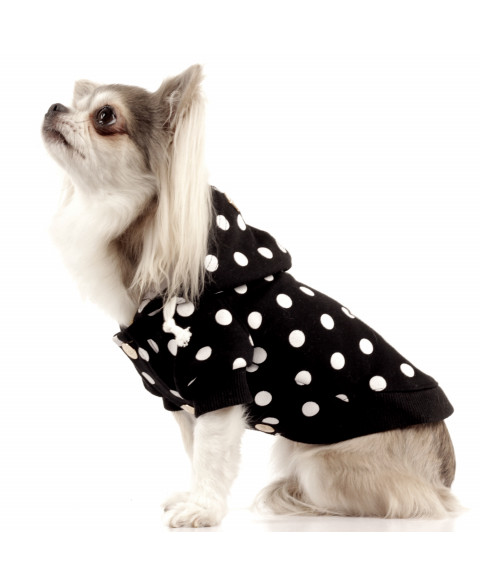 Milk & Pepper – Toscana Hoodie ‑koiralle, pilkullinen - 3