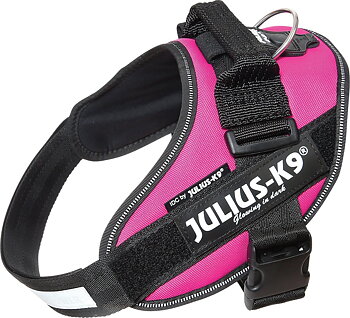Julius-K9 IDC Powerharness dog harness - Pink Peacock