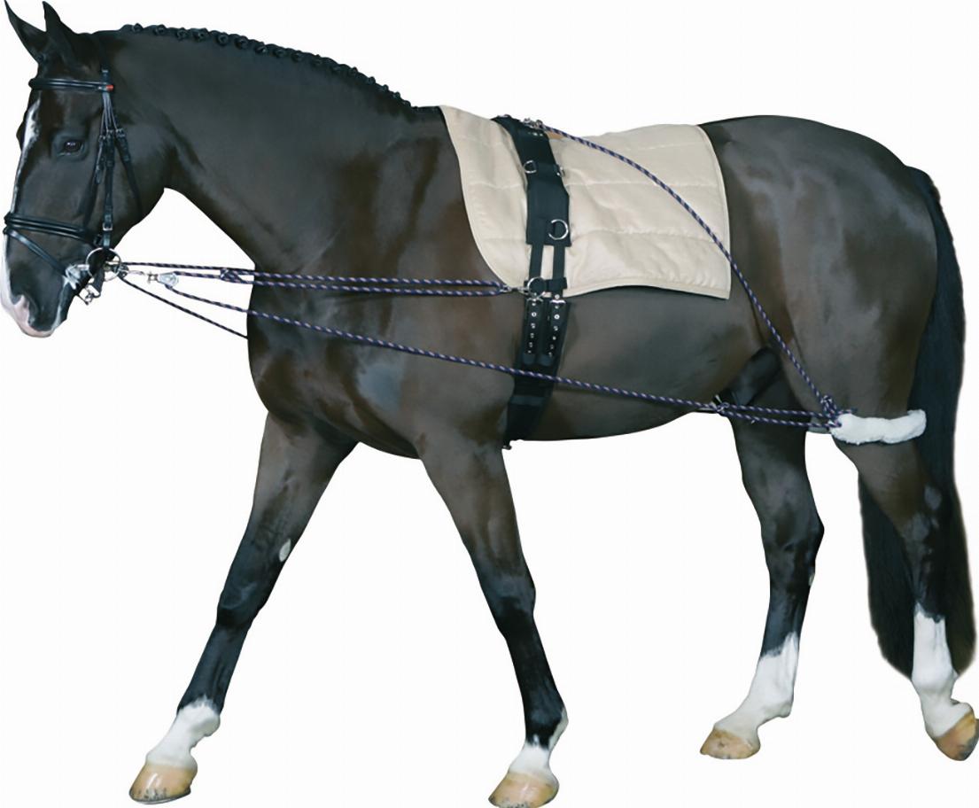 HorseGuard Lunging System - Black
