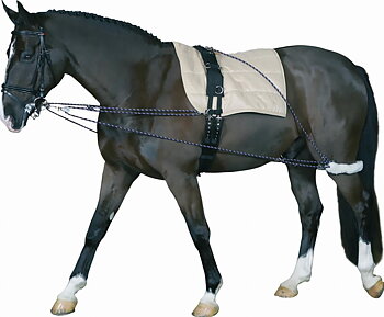 HorseGuard Lunging System - Black