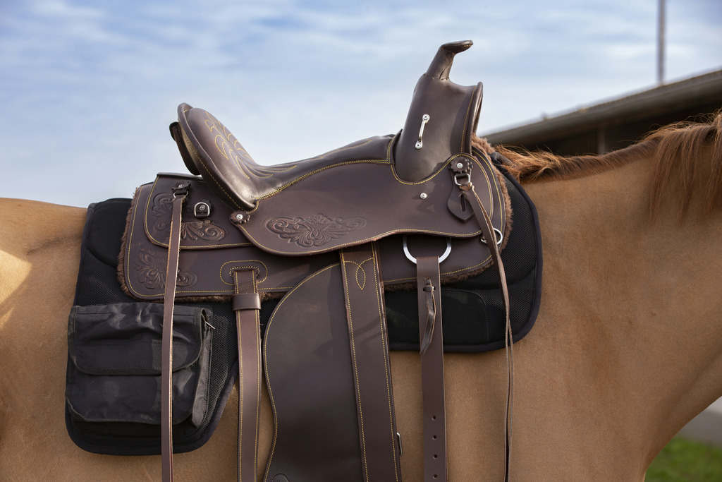 WESTRIDE Westernpad Med Väskor Svart - 86 x 86 cm - 3