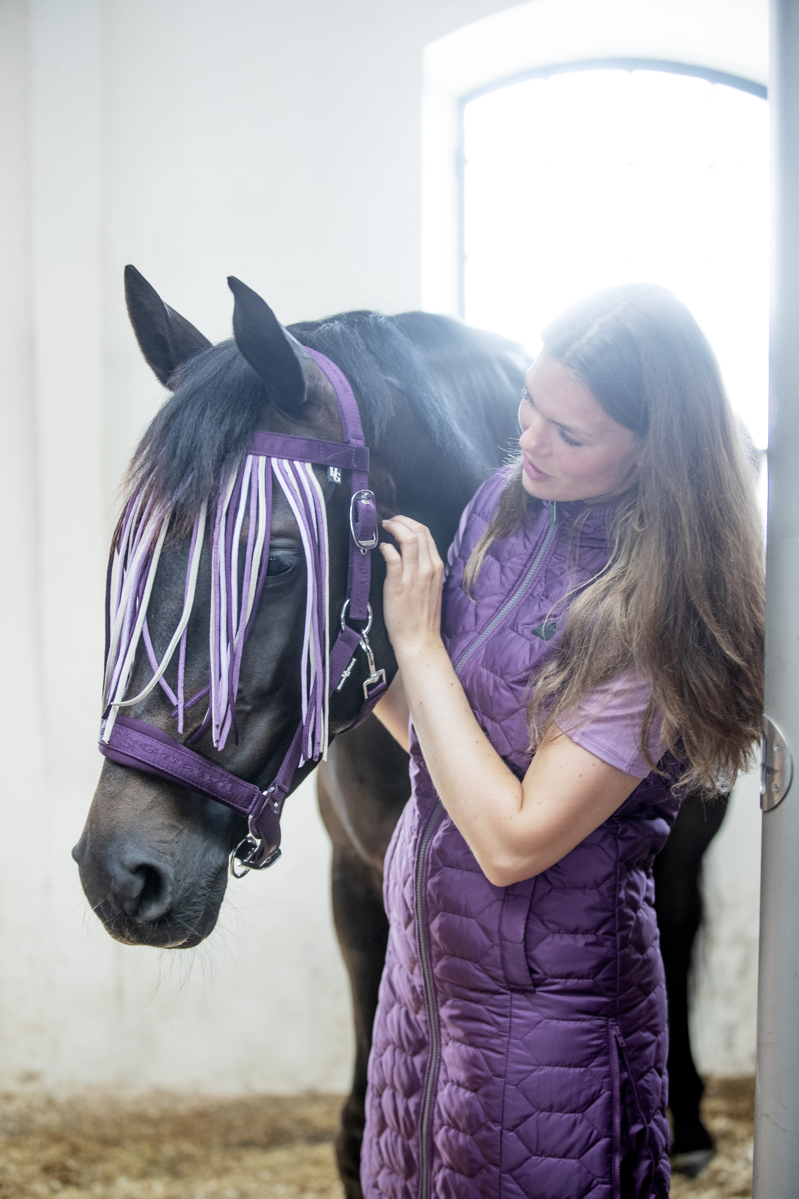 HorseGuard Cole Kärpäsotsapanta - Italian Plum - 2