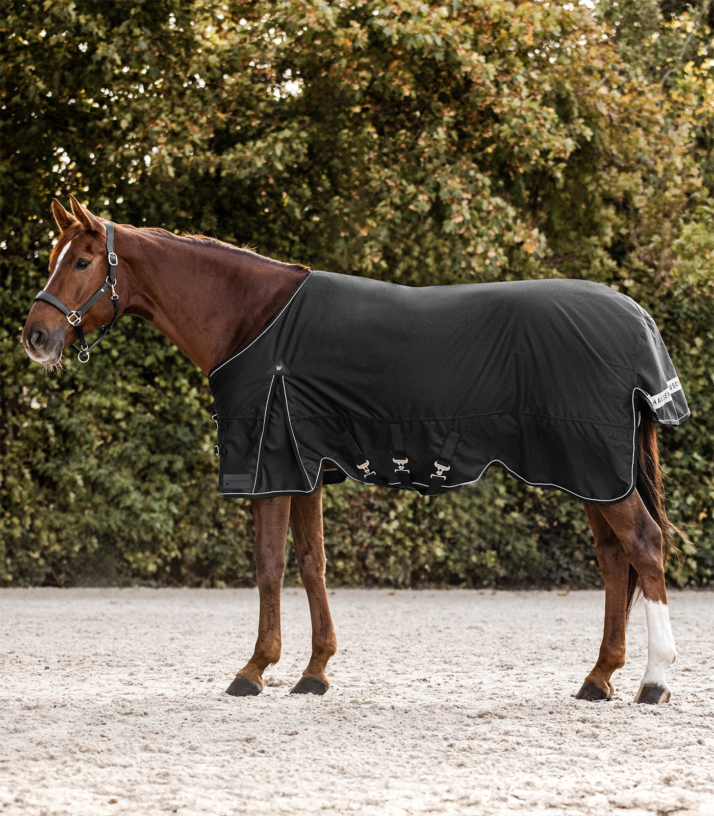 Waldhausen SCANDIC Turnout Rug, Light Black