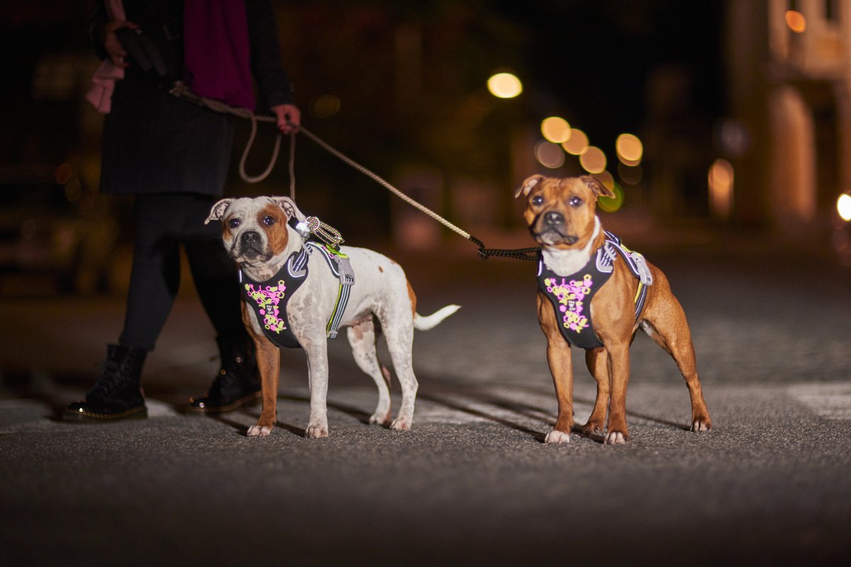 Hurtta Weekend Warrior II hundesele - Licorice - 5