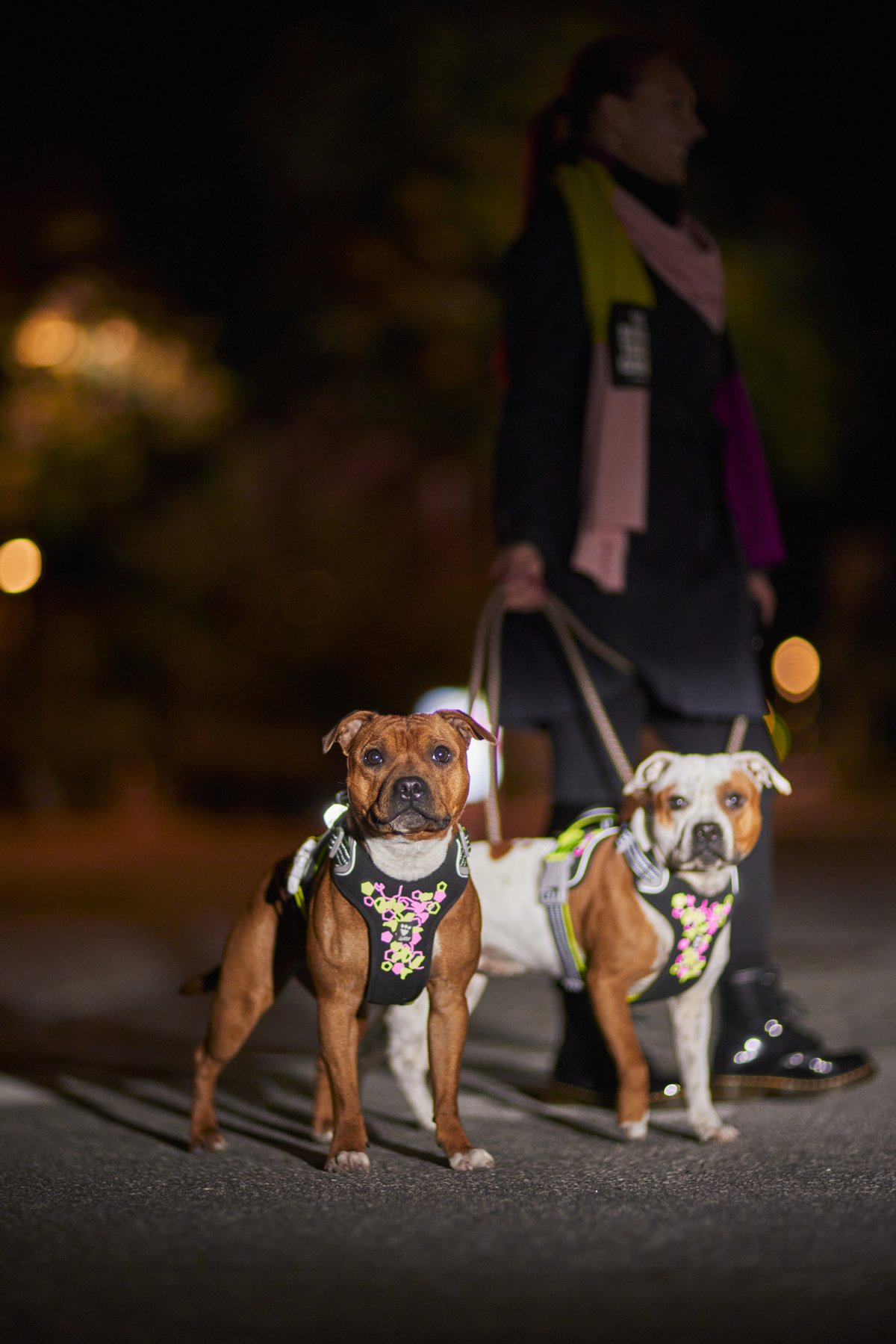 Hurtta Weekend Warrior II hundesele - Licorice - 7