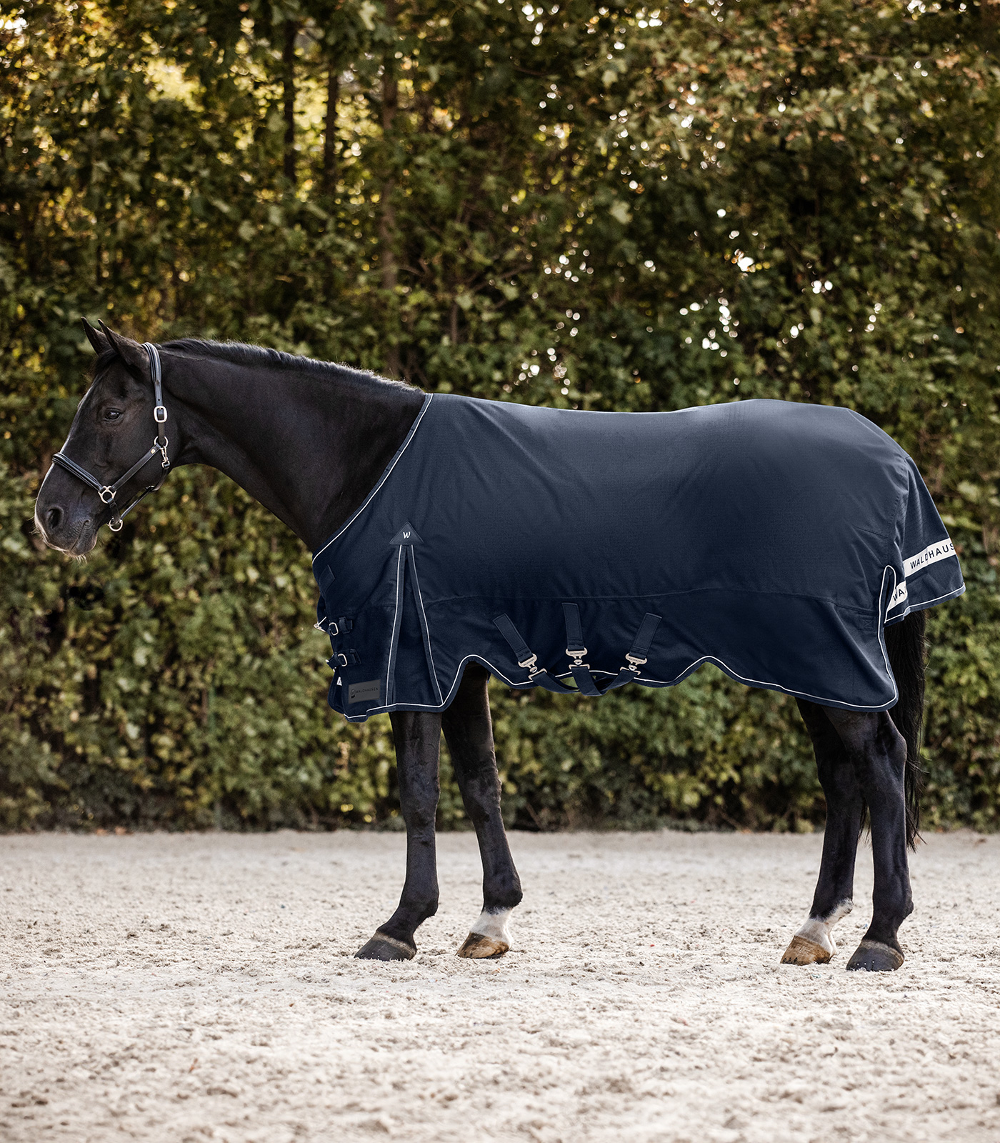Waldhausen Scandic Turnout Täcke - 100 G Night Blå