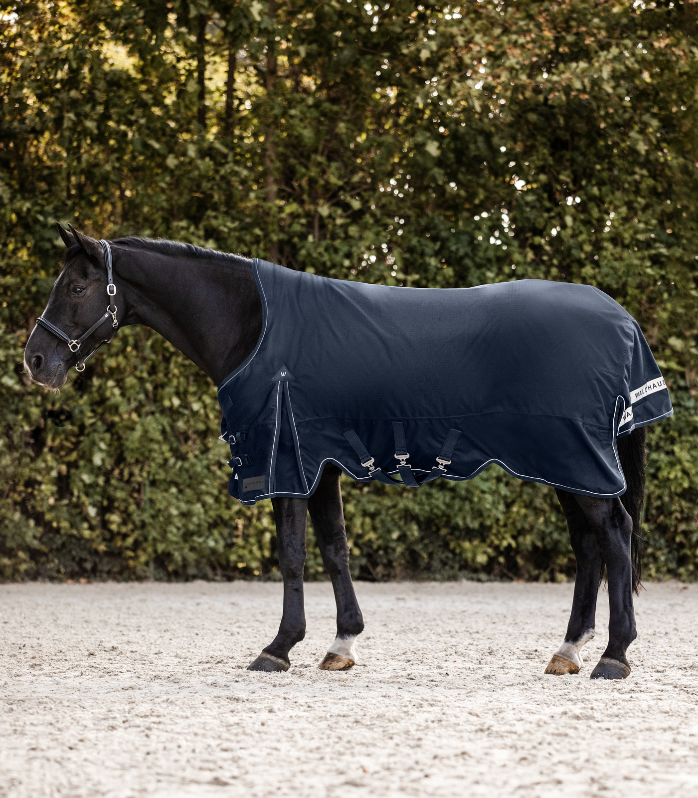 Waldhausen SCANDIC Turnout Rug, High Neck, Light night blue