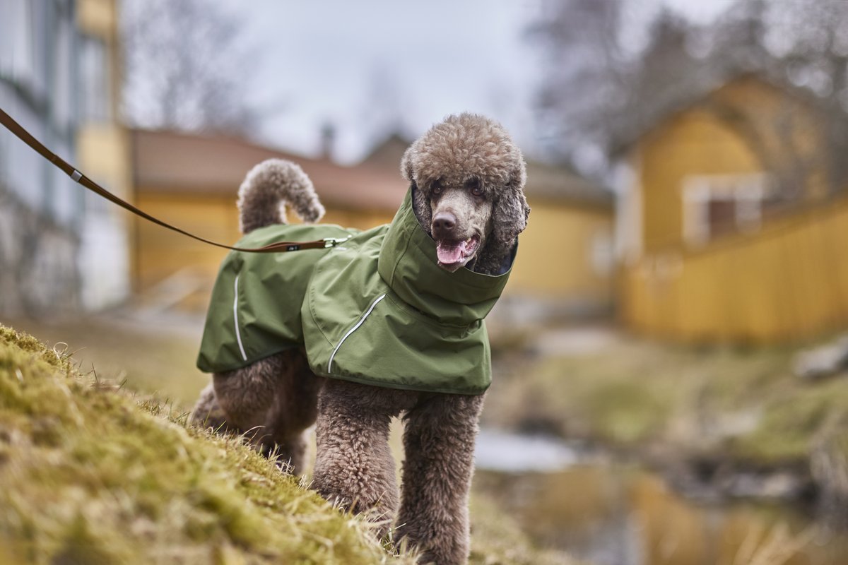Hurtta ECO Mudventure Dog Coat - Forest - 2