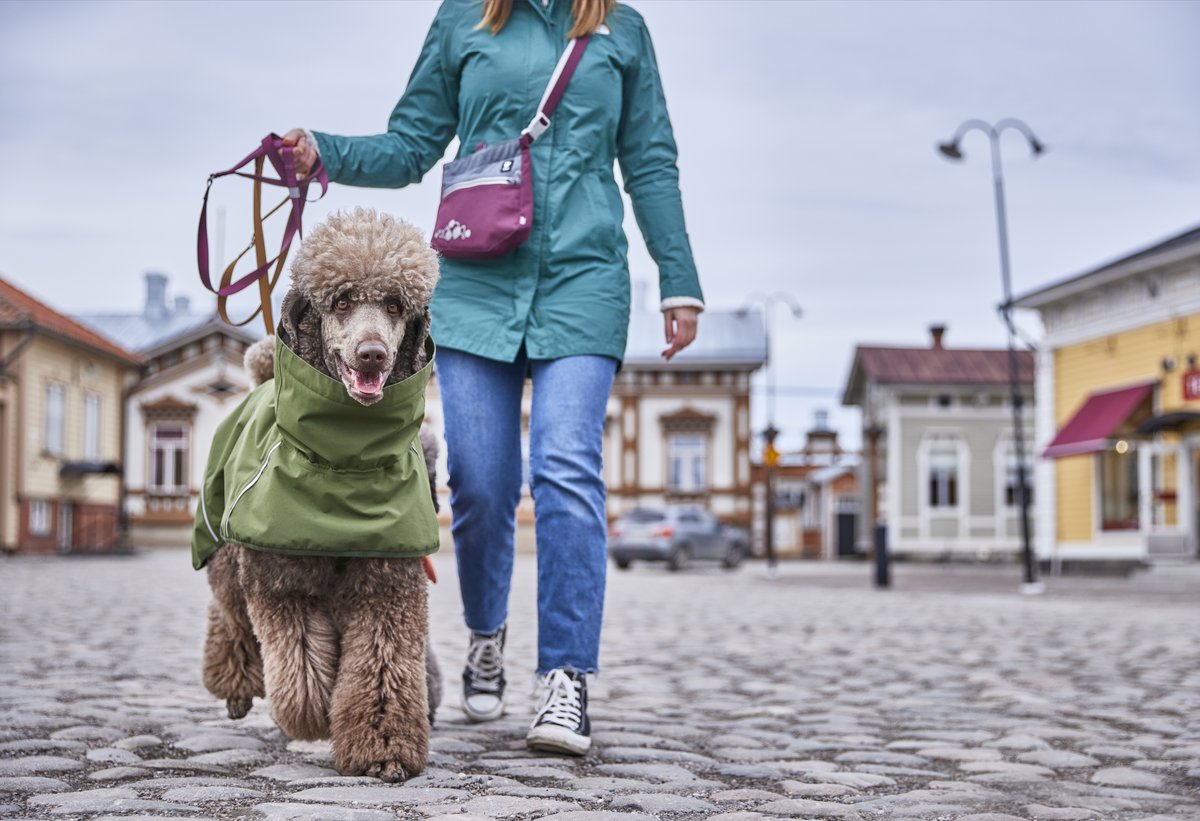 Hurtta ECO Mudventure Dog Coat - Forest - 4
