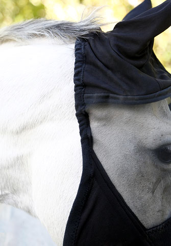 Covalliero Fly Mask with Ear Protection and Fringes - 4