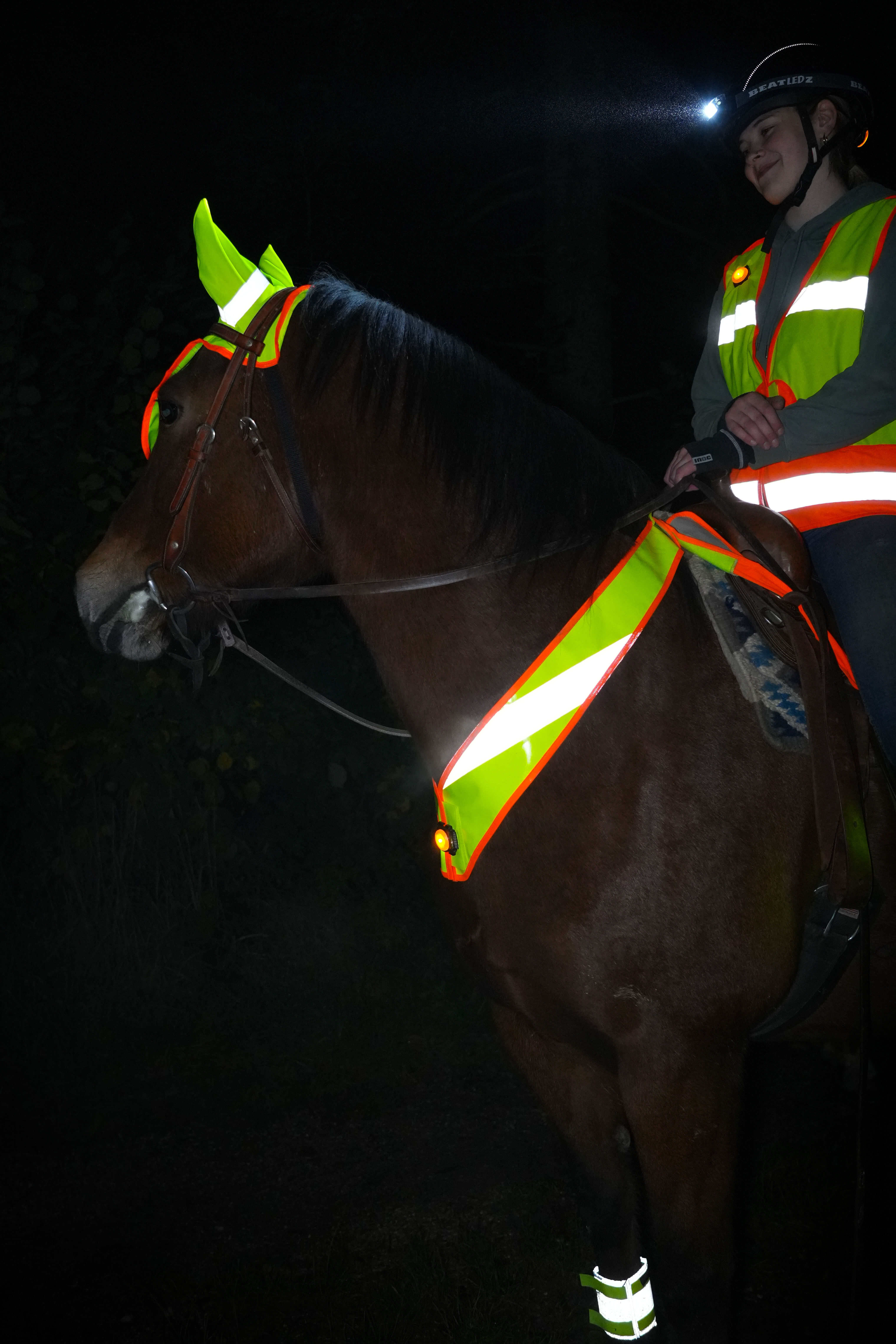 Celine Reflector for the Horse's Neck with Light