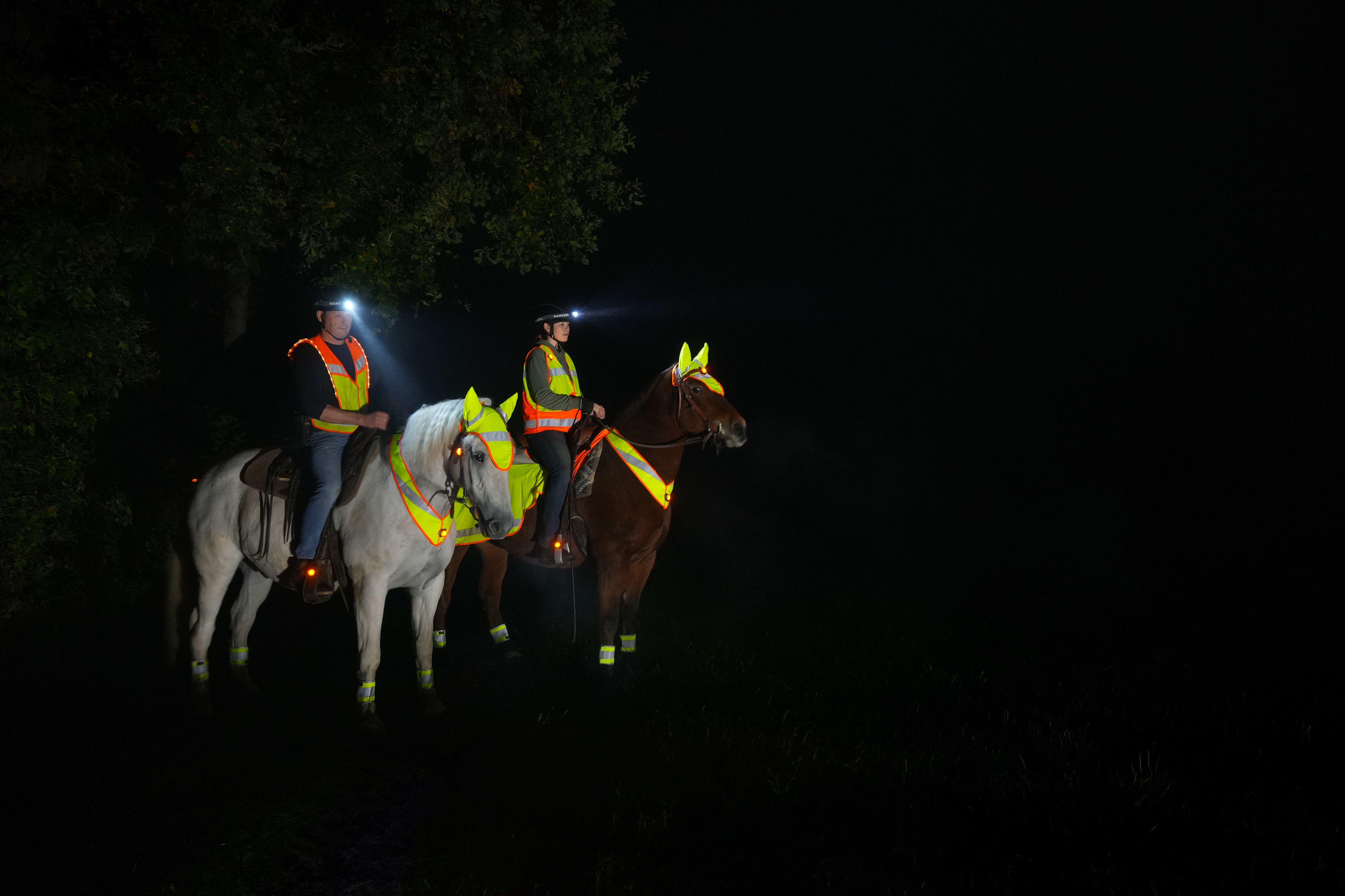 Celine Reflector for the Horse's Neck with Light