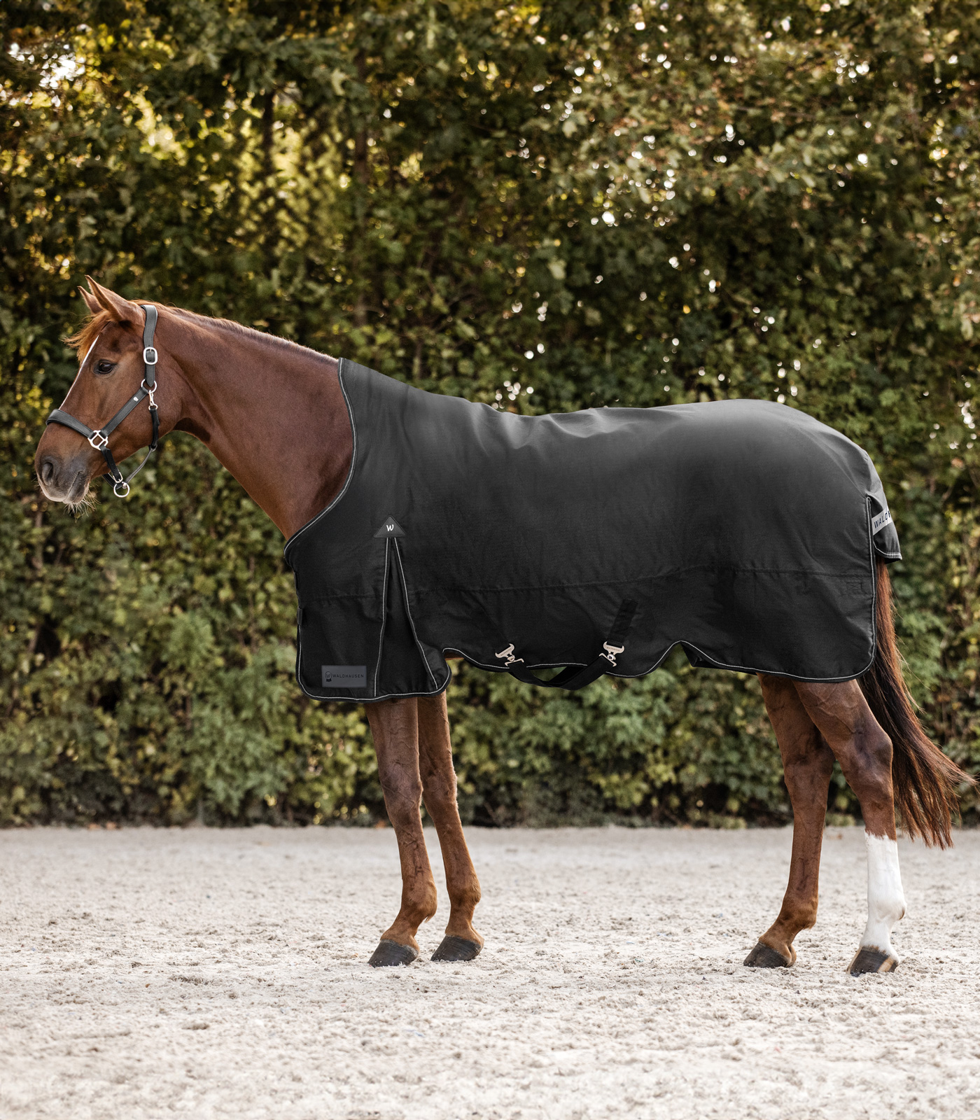 Waldhausen ARCTIC Turnout Rug, High Neck, 100 g Svart (125)