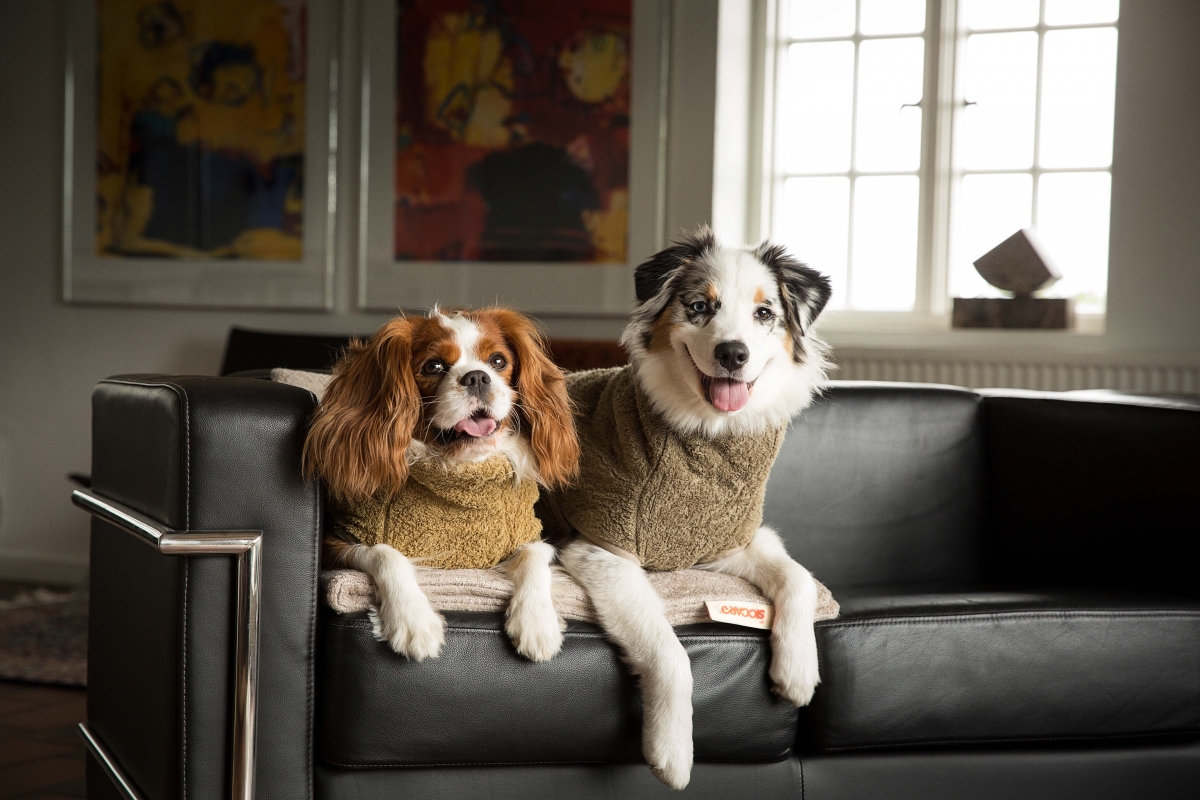 Siccaro WetDog SupremePro – hiekanruskea, XXL - vain tämä kappale - 4