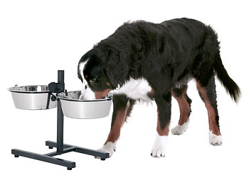 Adjustable Black Diners - 3 Sizes