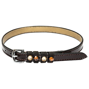 Imperial Riding Sporremmar läder Pardouz Brown-Gold