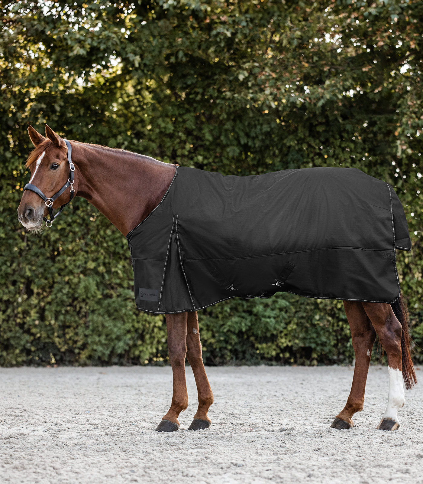 Waldhausen NORDIC Turnout Rug, 200 g Black