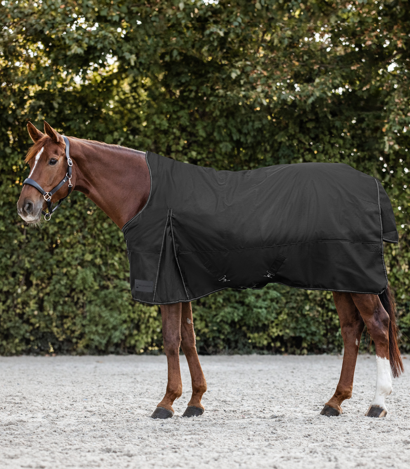 Waldhausen NORDIC Turnout Rug, High Neck, Light Svart (155)