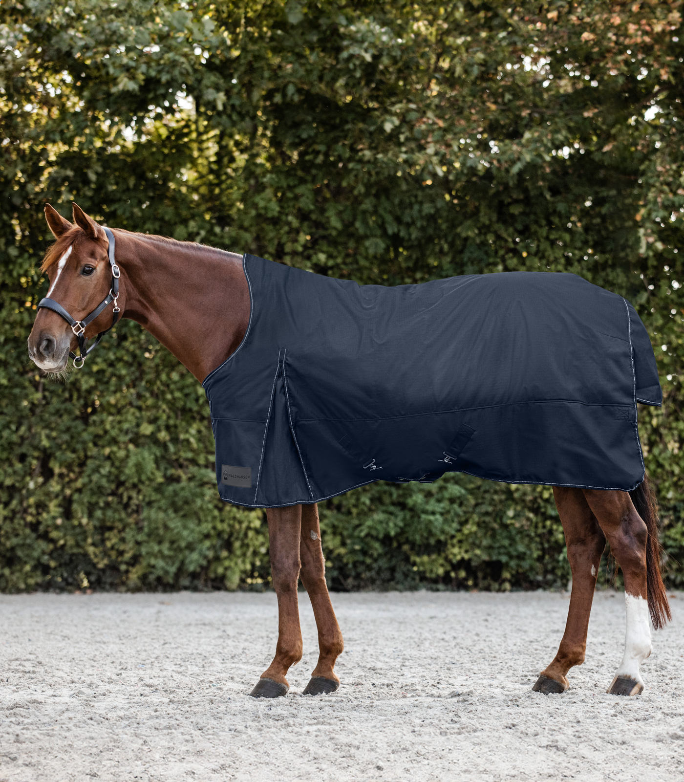 Waldhausen Nordic Turnout Rug, High Neck, 200 G Night Blå