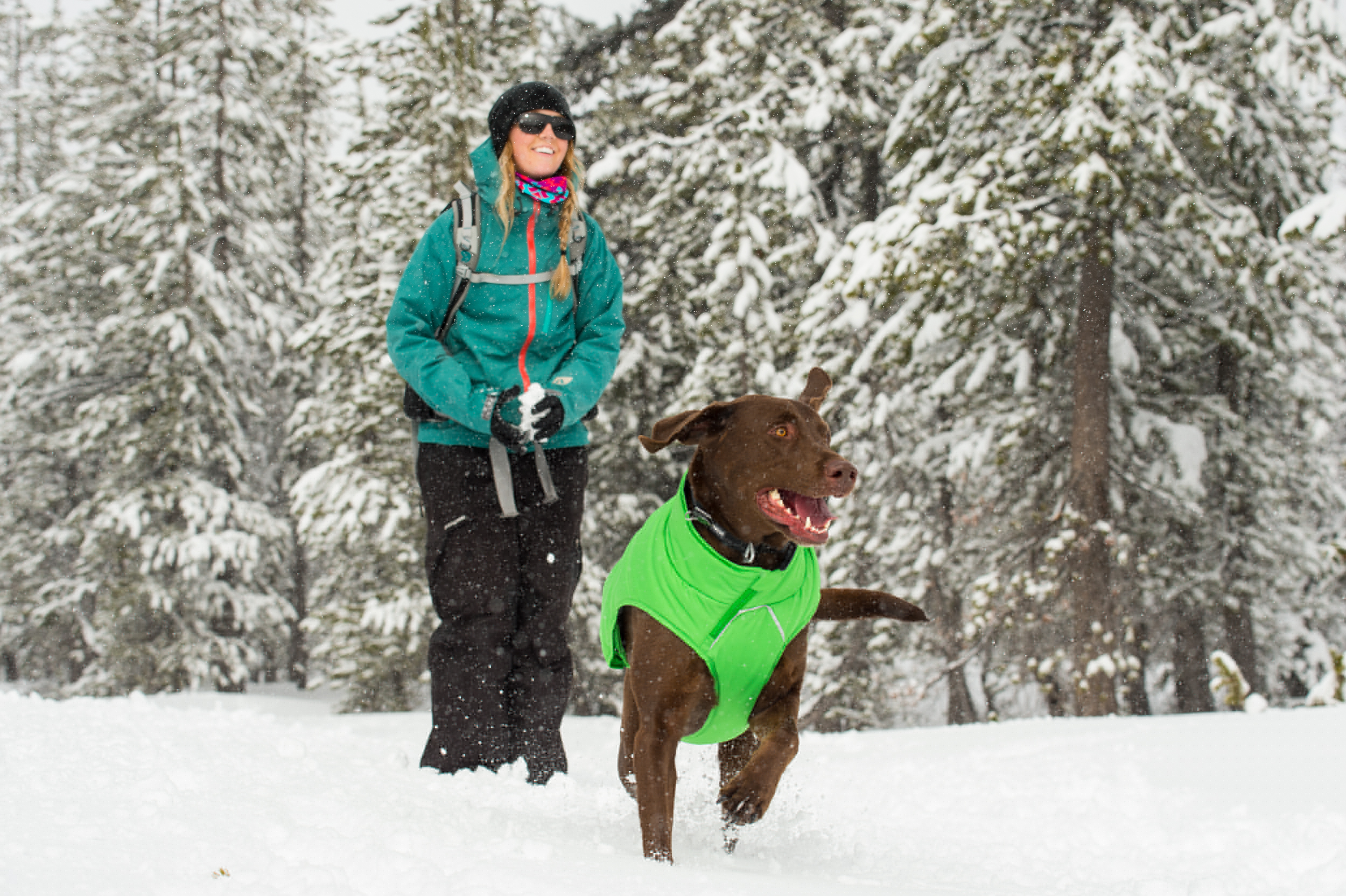 Ruffwear Quinzee Winter Dog Jacket - Meadow Green - 4