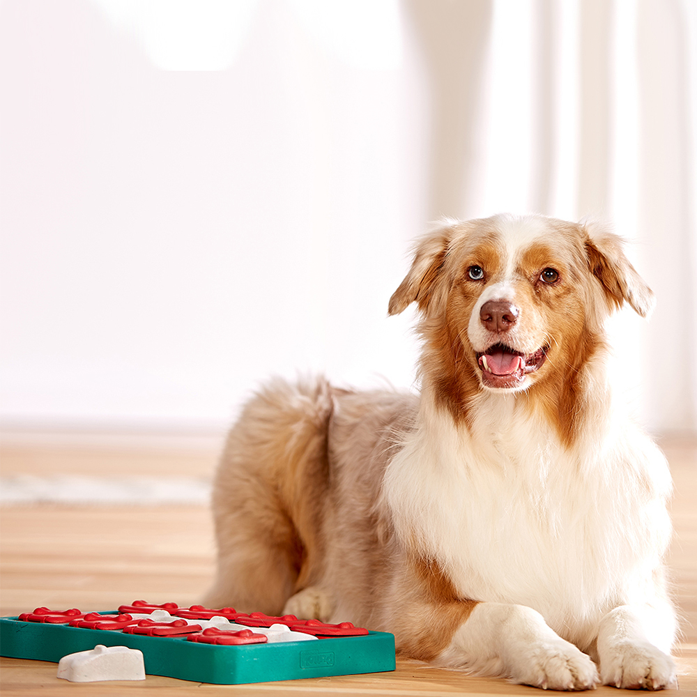Dog bricki in plastic from Nina Ottosson - 4