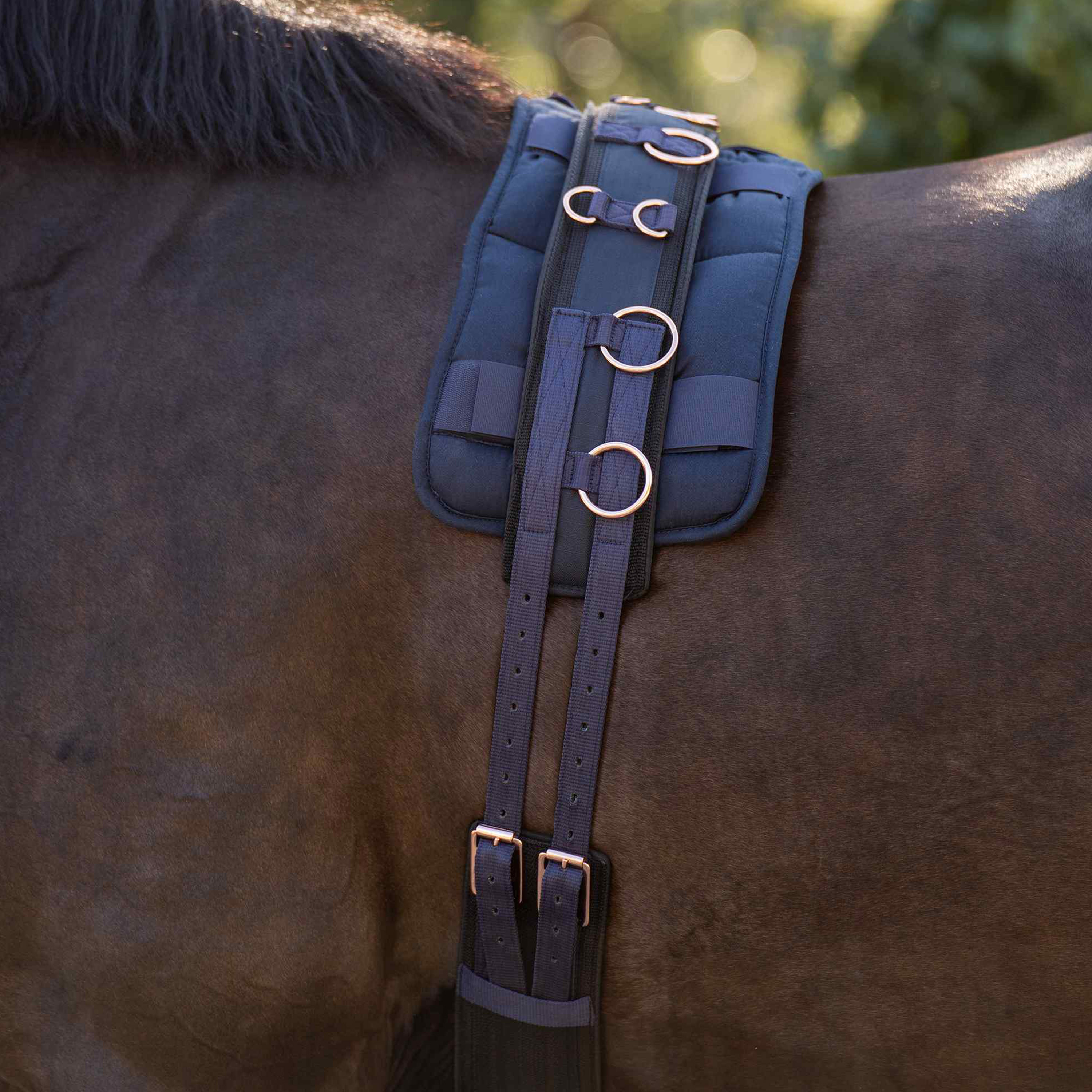 Imperial Riding Nylon juoksutusvyö Deluxe Extra Navy-Rosegold - 4